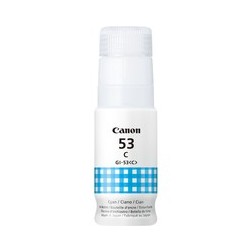 Canon 53 - Flacon d'encre authentique 4673C001
