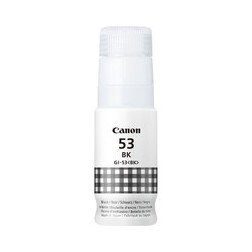 Canon 53 - Flacon d'encre authentique 4699C001